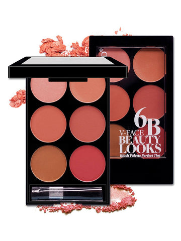 Boutique Style Blush For Natural Makeup Look  Six Shade Blush Palette