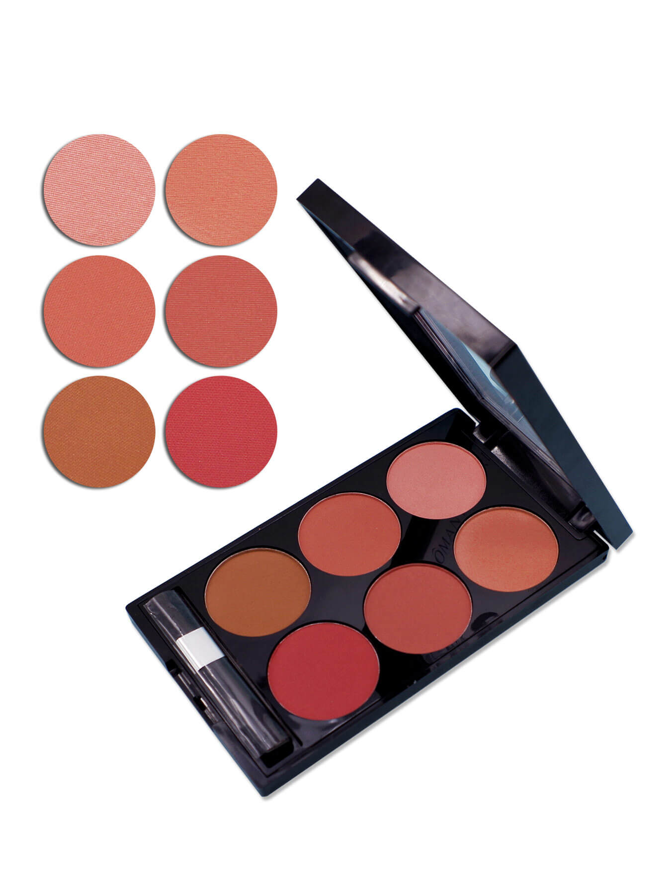 Boutique Style Blush For Natural Makeup Look  Six Shade Blush Palette